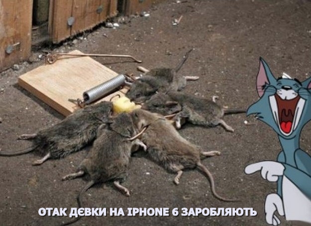 Дєвки заробляють айфон