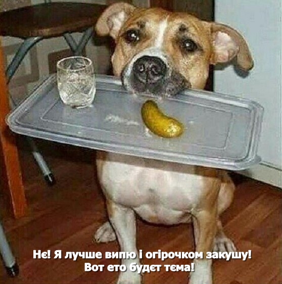 Випий і закуси