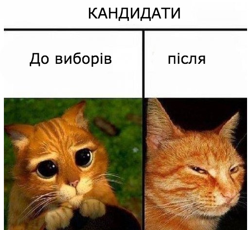 Кандидати до і після