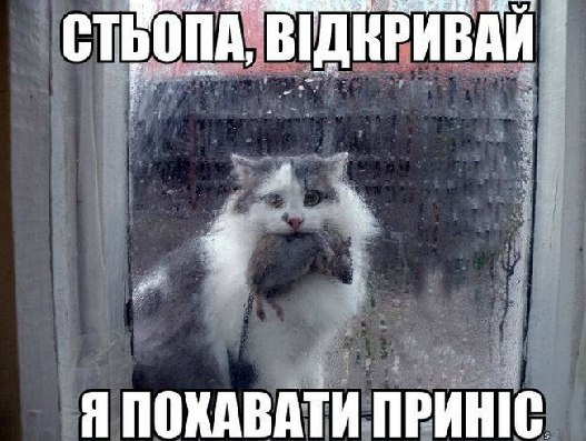Стьопа відкривай