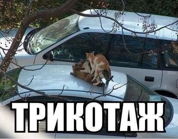 Трикотаж