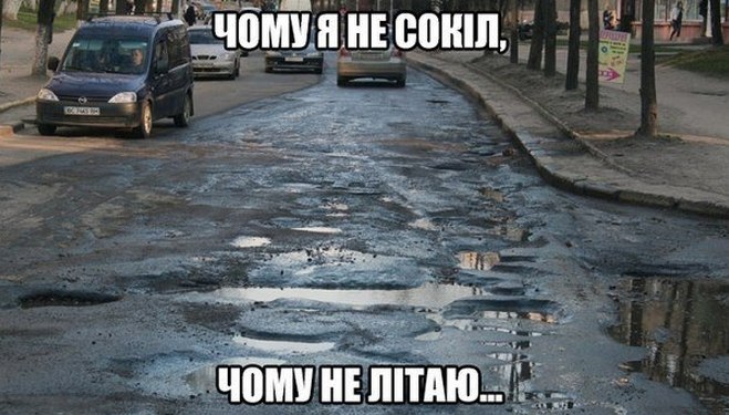 Чому я не сокіл