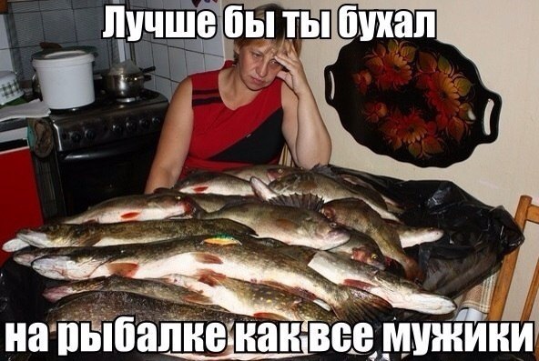 Лучше бы ты бухал