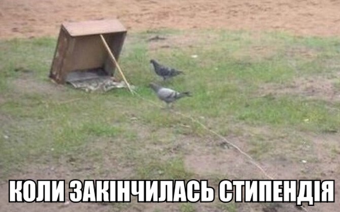 Коли закінчилась стипендія