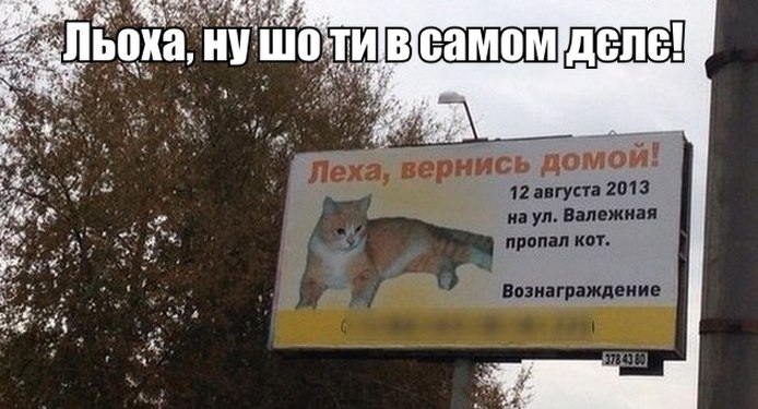 Льоха, ну шо ти в самом дєлє