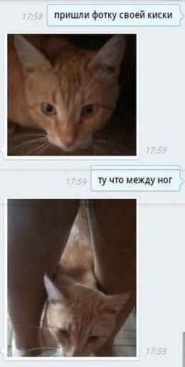Пришли фотку своей киски