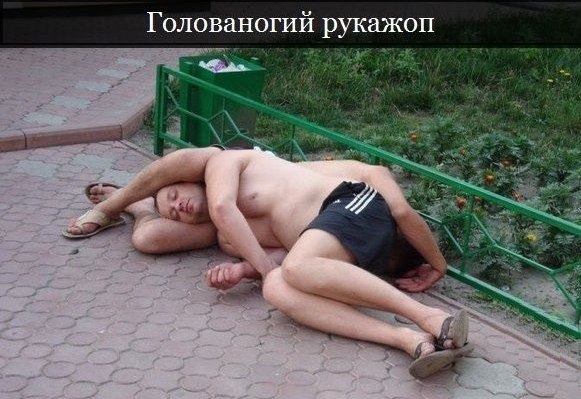 Голованогий рукожоп