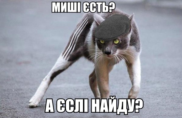 Миші есть?