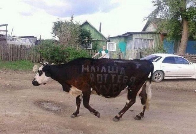 Отправив малій СМСку