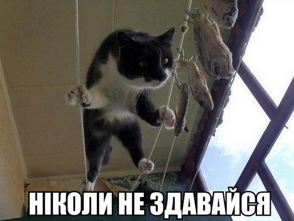 Ніколи не здавайся