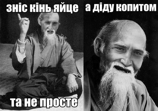 Зніс кінь яйце