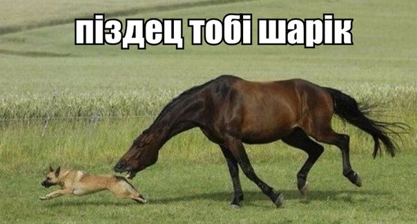 Піздец тобі шарік