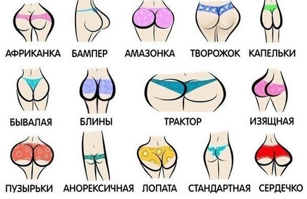 Який горіх в малої, вам до вподоби?