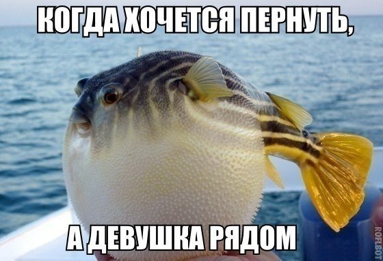 Когда хочеться пернуть