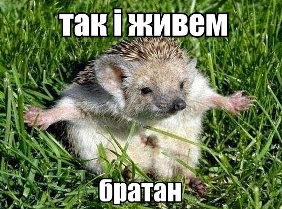 Так і живем братан