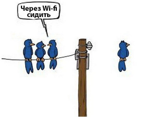 Через WiFi сидить