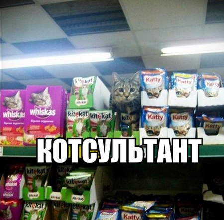 Консультант