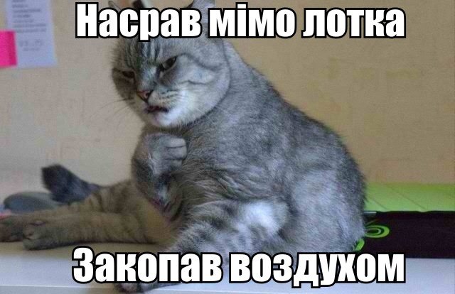 Насрав мімо лотка
