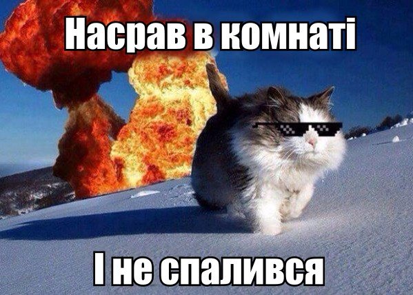 Насрав в комнаті і не спалився