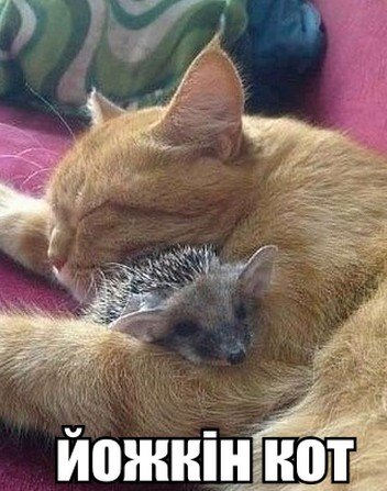 Тепер знаю як це виглядає